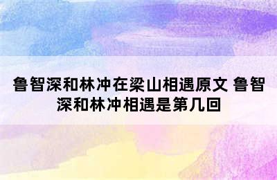 鲁智深和林冲在梁山相遇原文 鲁智深和林冲相遇是第几回